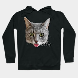 Baxter - Cat with Tongue Stuck Out Hoodie